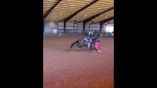 MS PREGONATOR STALLION WINNING 4M BARREL RACE! 1/10/26