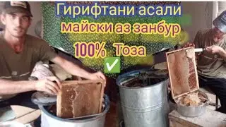 Диққат! Тарзи гирифтани Асал 🍯 аз қуттии занбури Асал