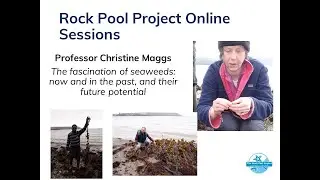 Cit Sci Forum 5th May 2021 - Prof. Christine Maggs