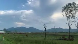 Driving Through the Countryside | Fields, Mountains & Storm-Scarred Trees