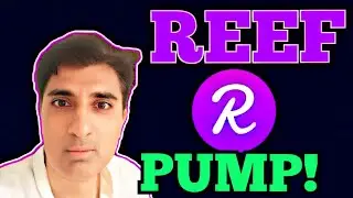 The Rise🚀 of Reef coin| Reef coin latest news| Reef coin price prediction  Crypto Shakeel