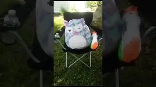 the adventures of tarantula man and egg salad man