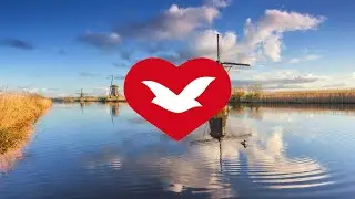 De Universele Kerk - Bijbelstudie