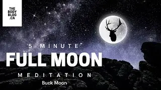 5-Minute Full Moon Meditation | The Buck Moon | July