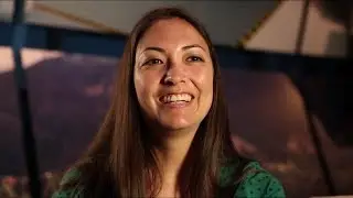 Seismic Geophysicist