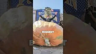 I'm growing the world's biggest pumpkin #shorts #garden