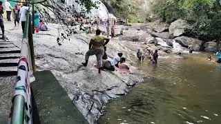 MonkeyFall   HD 1080p
