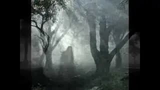 SYNERGY  THE TREES Synergy is Kevin Wilkinson