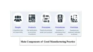 Good Manufacturing Practices  Video No  203