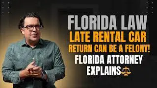 Third-Degree Felony for a Late Rental?