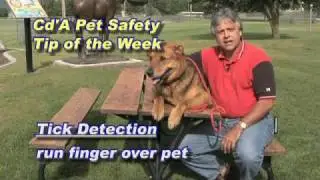 Pet Health/Safety Tip--Ticks
