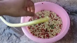 Ringneck chicks k ley best soft food r tips complete video and information