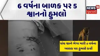 Junagadh Stray Dog Attack | 6 વર્ષના બાળક પર 5 શ્વાનનો હુમલો | Stray Dog |Attack |JMC |Gujarati News
