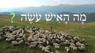 Review Game for Lessons 143-144 - Biblical Hebrew