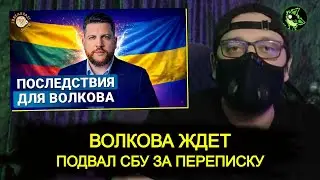 Волкова* хотят посадить на Украине
