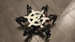 Hexapod Robot Walking | Bachelor's Engineering Project Showcase