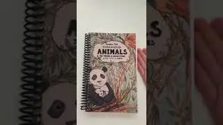 Funschooling Review - Grammar Time Endangered Animals