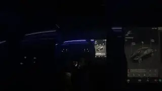 Light Sync Rave Cave mode, new Tesla party trick