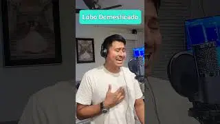 #karaoke, un perro domesticado. jajaja bebendiciones