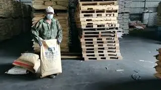 Workers Loading Goods｜Efficient Logistics in Action 🚛
