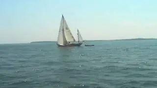 Feeder Race 2010
