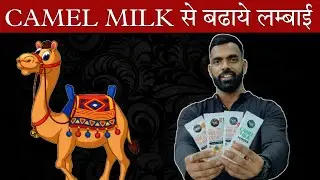 CAMEL MILK से बढ़ाये लंबाई ? How To Increase Height Fast ||  || Hind Fitness 02