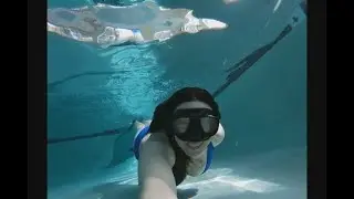 Second Swim at the Pool Since the Shelter in Place Order