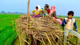 MY FAMILY IS VERY POOR FAMILY REAL FARMERS RURAL LIFESTYLE WITH BELGADI 