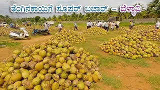 Coconut super bazar walkthrough at Bellavi
