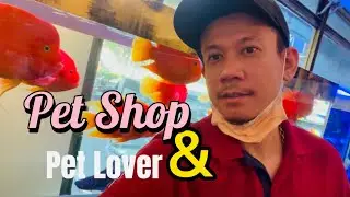 Pet Shop | Bili ko mga Bata ng Rabbit