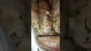 ❤️صنية حضرت الموت الكبارة❤️