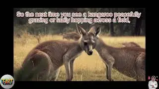 Top 5 Amazing Facts and Interesting Knowledge About Animals