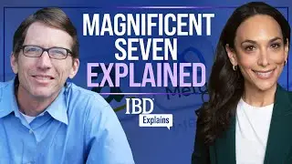 What Are The Magnificent Seven Stocks? | IBD Explains | Alexis Garcia