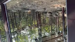 Dehradun zoo ! Tiger ! Real tiger ! Bubber sher ! 
