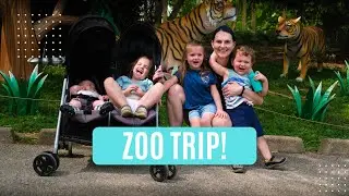 Activities For Kids: Zoo Trip