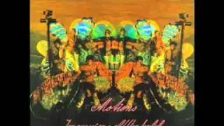 The Motions - You're My Adee