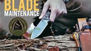 Blade Maintenance in the Field- Quick Tip