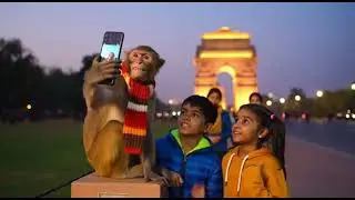Brown Monkey Gaya Delhi Ghumne 😆 | India Gate, Metro & Street Food Fun