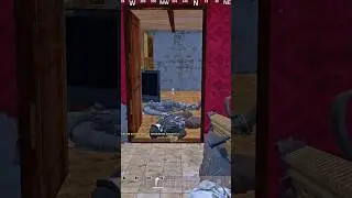 COLLATERAL KILL! #dayz #gaming