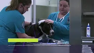 Meet the Campus: ACC Elgin