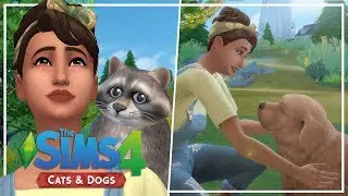 RUNAWAY RACCOON // The Sims 4: Wolf Pack Challenge #14
