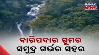 Baripada's Fossil Bed: Unveiling a 12-Million-Year-Old Marine Past