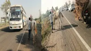 Vacheri ne pehli var High way par lay giya