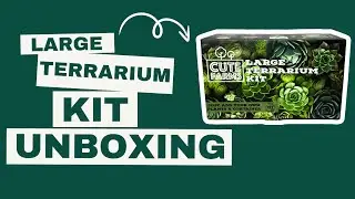 What's inside Cute Farms Large Terrarium Kit? | Unboxing