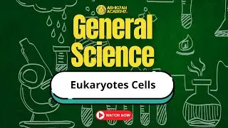 Eukaryotic Cells 🔥 Most Important for NDA & CDS | General Science