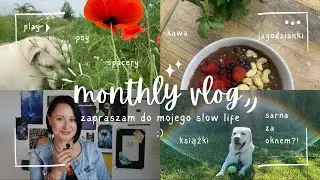 Vlog po polsku #1 kawa, ksiażki, psy, spacery i...