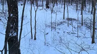 Season 1 Episode 3 of trying to find splitty&rsquo;s  sheds.