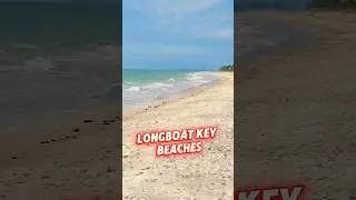 Longboat Key beaches &mdash; top-tier shoreline, top-tier living. 👌🏻❤️#sarasotarealtor