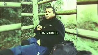 Un verde - Luis Suazo 