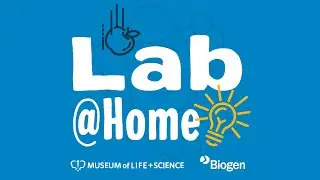 Lab@Home: Insect Inspection